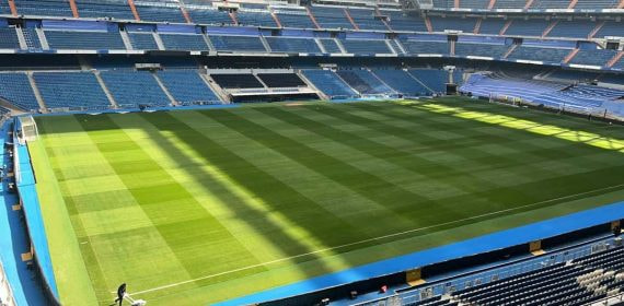 Imagen del estadio Santiago Bernabéu con el césped recién cambiado.