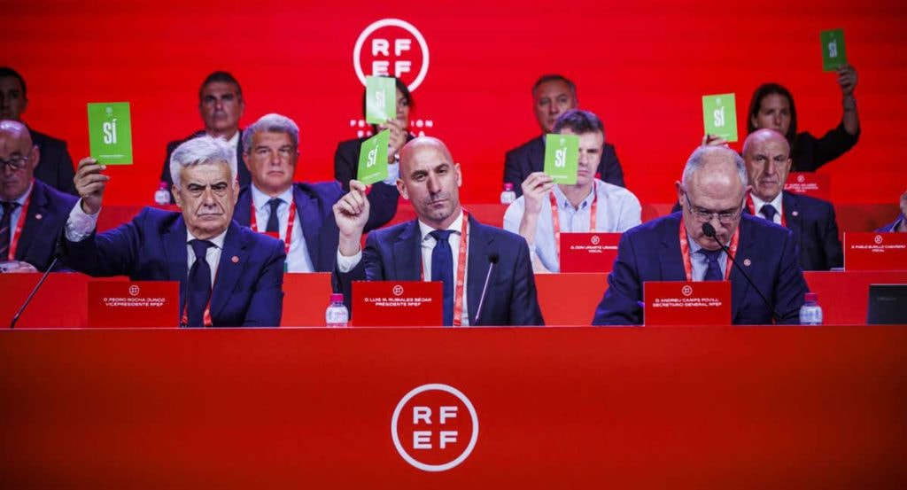 Luis Rubiales durante una votación en una Asamblea Extraordinaria de la RFEF.