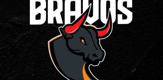 Logo de los Madrid Bravos