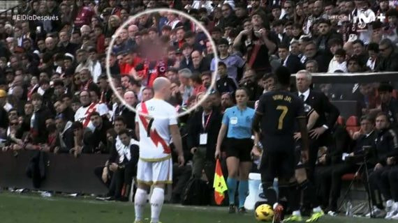 Imagen del gesto del aficionado.