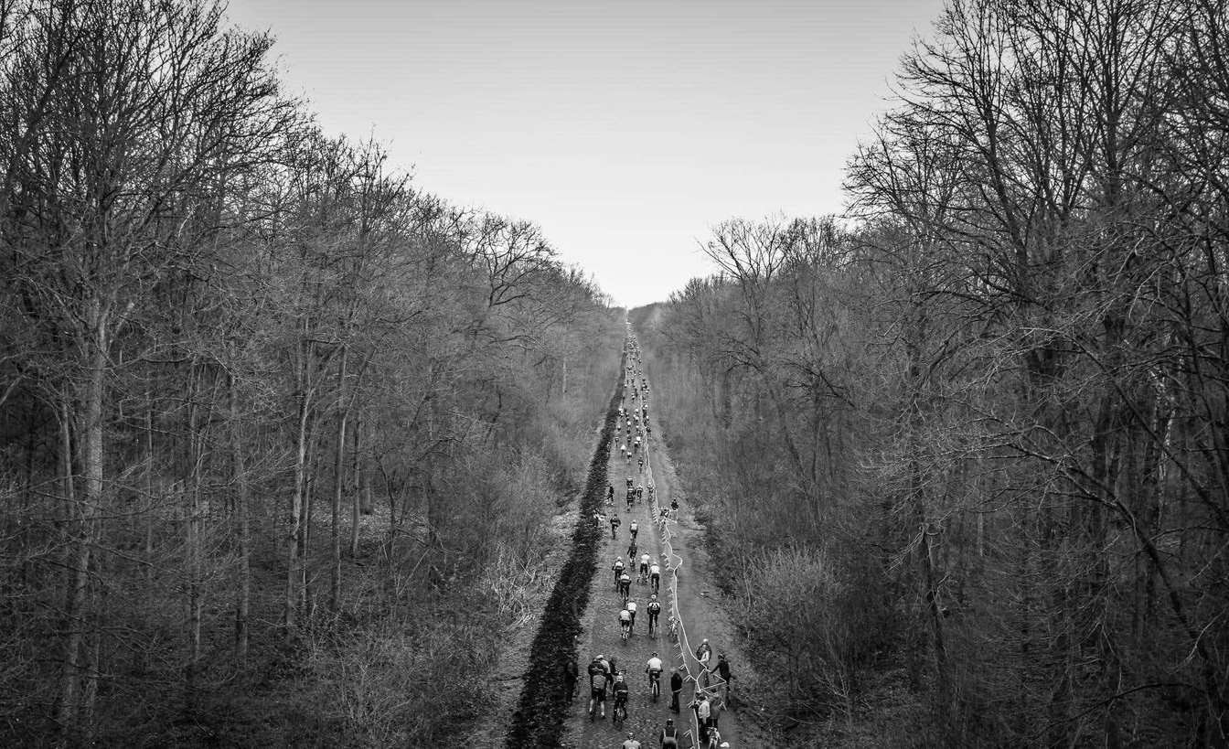 Vista aérea del pelotón atravesando un bosque sin hojas en la París-Roubaix, en blanco y negro