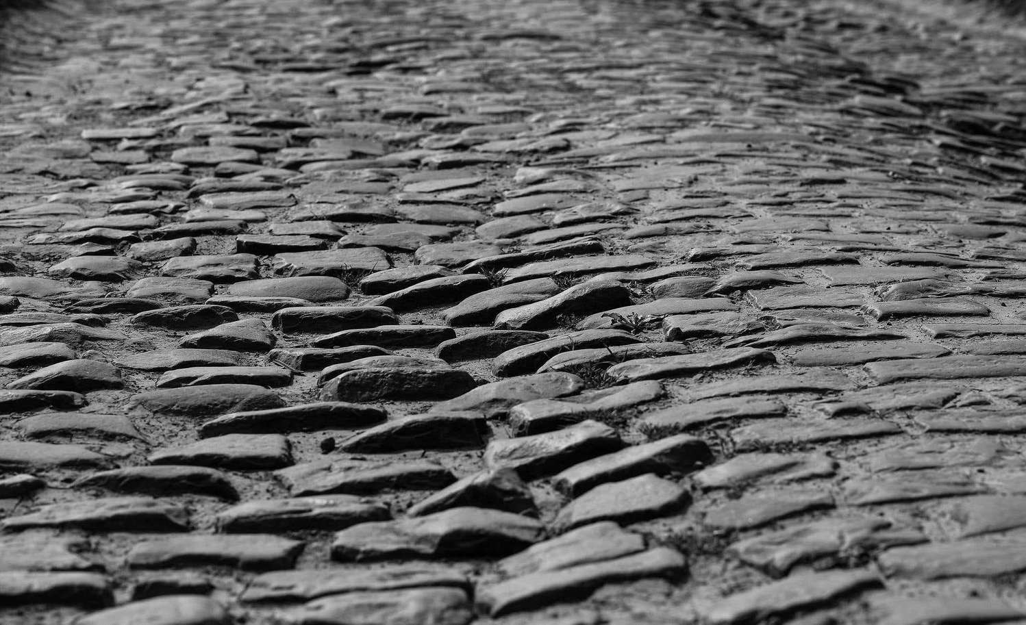 Primer plano de un tramo de adoquines, en blanco y negro
