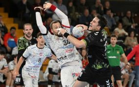 Partido de balonmano.