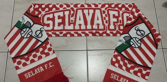 El escudo del Selaya.