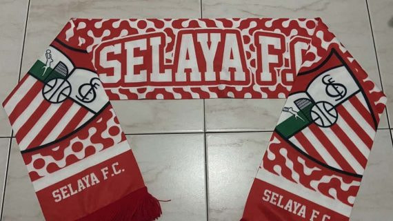 El escudo del Selaya.