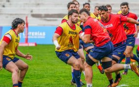 Leones calentando.