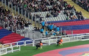 La charanga que sorprendió por primera vez en el Estadi Olímpic.