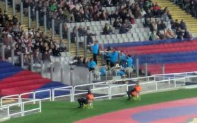 La charanga que sorprendió por primera vez en el Estadi Olímpic.