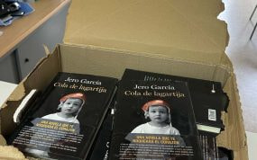 Imagen del libro 'Cola de Lagartija'.