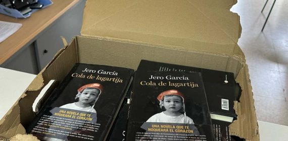 Imagen del libro 'Cola de Lagartija'.