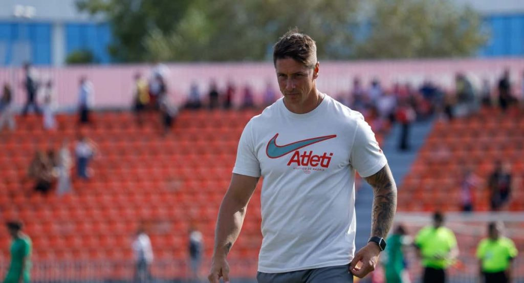 Fernando Torres, en un partido.