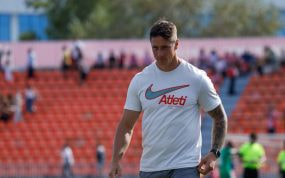Fernando Torres, en un partido.