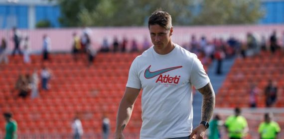 Fernando Torres, en un partido.