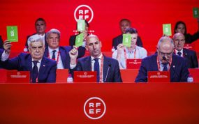 Luis Rubiales, en una Asamblea General de la RFEF.