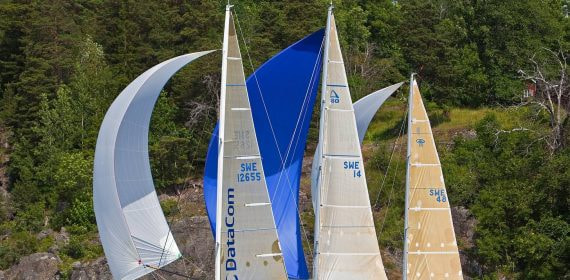 Flota de veleros de regata navegando con spinnakers desplegados junto a una costa boscosa durante una competicion de vela