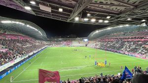 Una docena de Leones vive del rugby en Francia