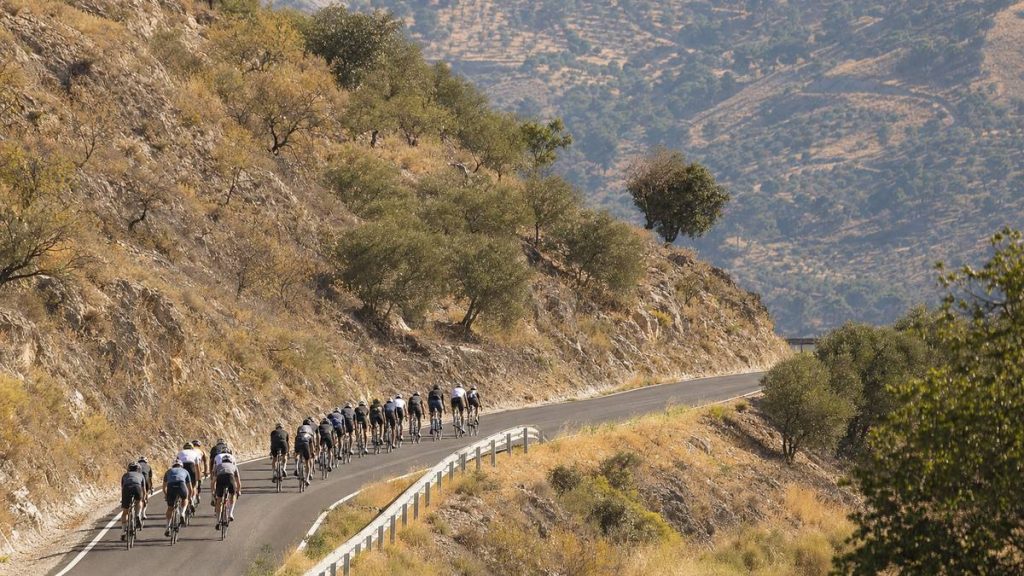 El pelotón asciende en fila por una carretera de montaña entre laderas secas y olivos del sur de España