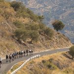 El pelotón asciende en fila por una carretera de montaña entre laderas secas y olivos del sur de España