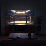 Salón a oscuras de madrugada con la televisión encendida mostrando una jaula de artes marciales desenfocada.