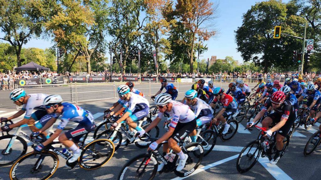 El pelotón rueda agrupado por una avenida arbolada durante una carrera ciclista