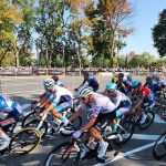 El pelotón rueda agrupado por una avenida arbolada durante una carrera ciclista