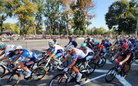 El pelotón rueda agrupado por una avenida arbolada durante una carrera ciclista