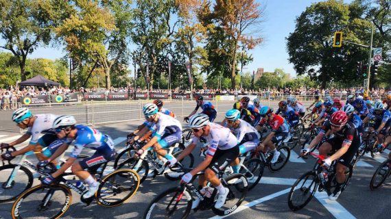 El pelotón rueda agrupado por una avenida arbolada durante una carrera ciclista