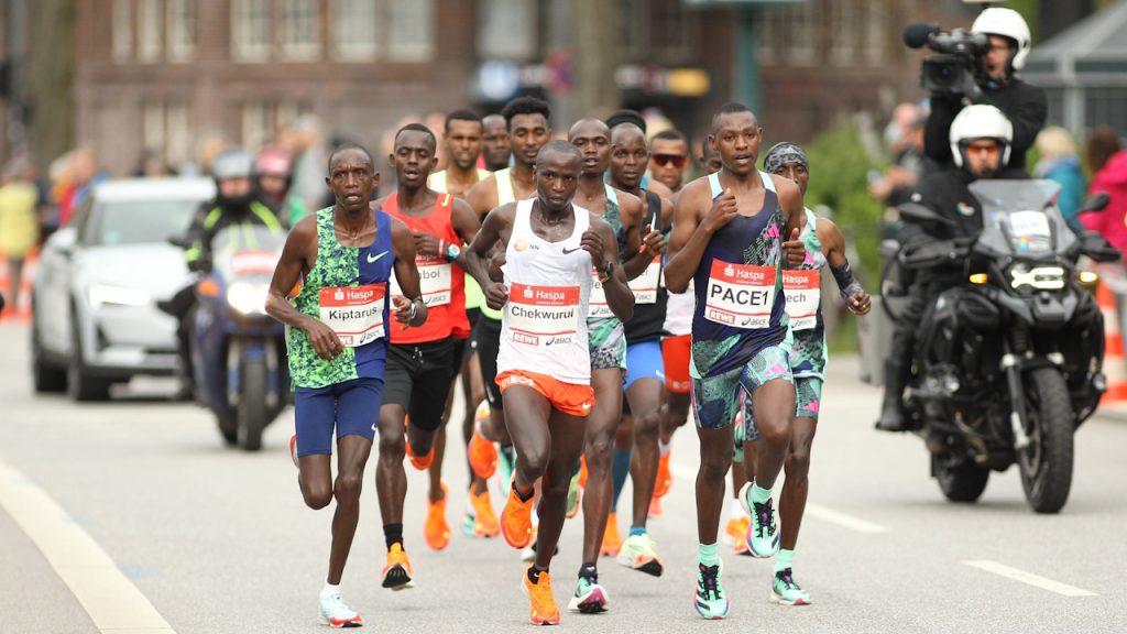 Maraton, Liebre, Pacesetter, Hare